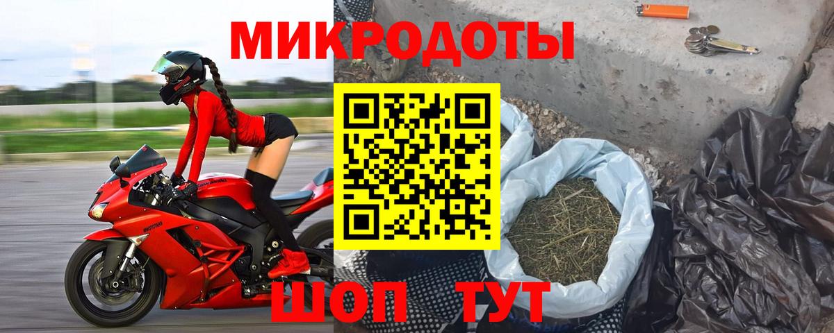Псилоцибиновые грибы Psilocybe Сочи