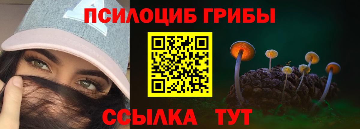 Псилоцибиновые грибы ЛСД  Вход с VPN  Сочи  Псилоцибиновые грибы мухоморы 